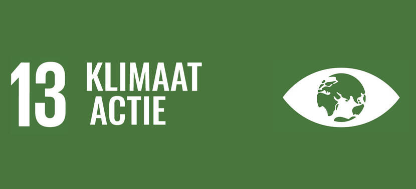 Klimaatactie SDG 13 embleem